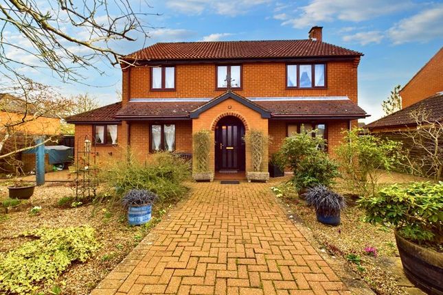 Thumbnail Detached house for sale in Poy Street Green, Rattlesden, Bury St. Edmunds