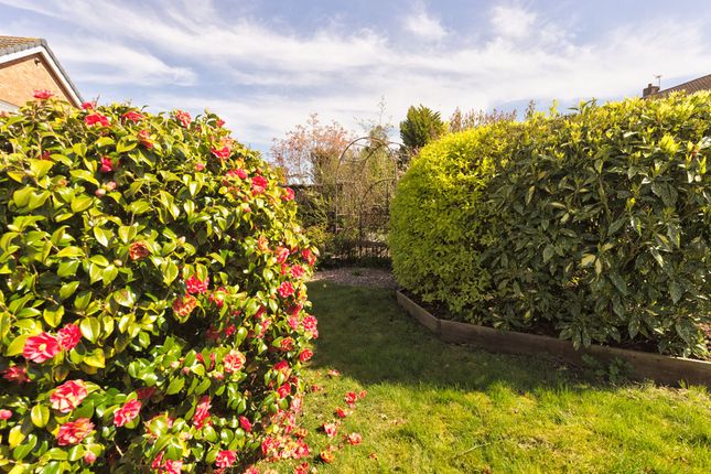 30, Coalport Road, Broseley photo 4