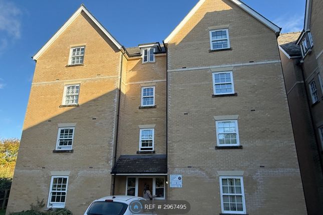 Mildenhall, Bury St Edmunds photo 3