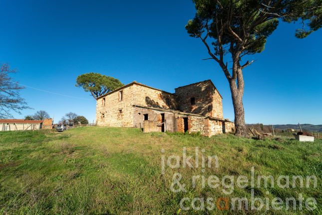Country house for sale in Italy, Tuscany, Pisa, Castelnuovo di Val di Cecina