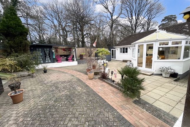 Thumbnail Detached bungalow for sale in Grebe Close, Creekmoor, Poole