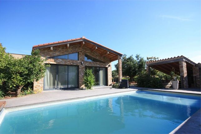 Properties For In Collioure Côte Vermeille Céret Pyrénées Thumbnail Property For In Collioure Languedoc Roussillon 66190 France