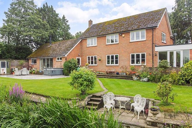 Thumbnail Country house for sale in Southampton Road, Fordingbridge
