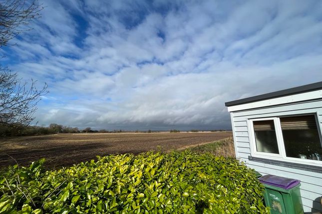 Detached bungalow to rent in Brenzett, Romney Marsh, Kent