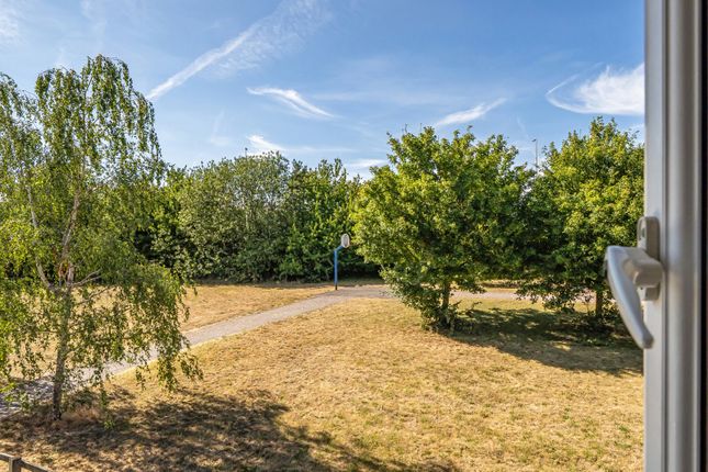 28, Chrysanthemum Drive, Reading photo 4