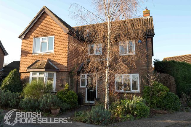 Thumbnail Detached house for sale in Pollards Green, Chelmsford, Essex