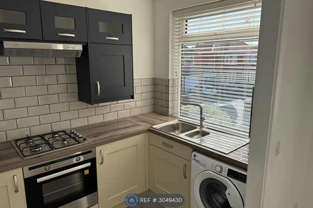 Westbourne Avenue, Walkergate, Newcastle Upon Tyne photo 3