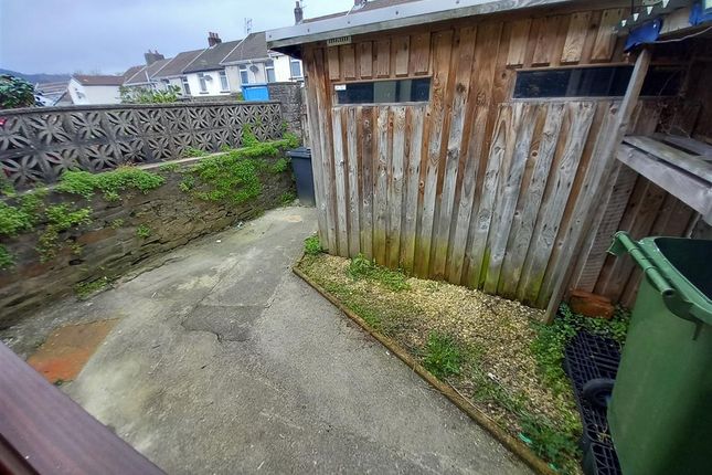 12, MOUNTAIN ASH photo 2