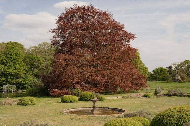 Grounds