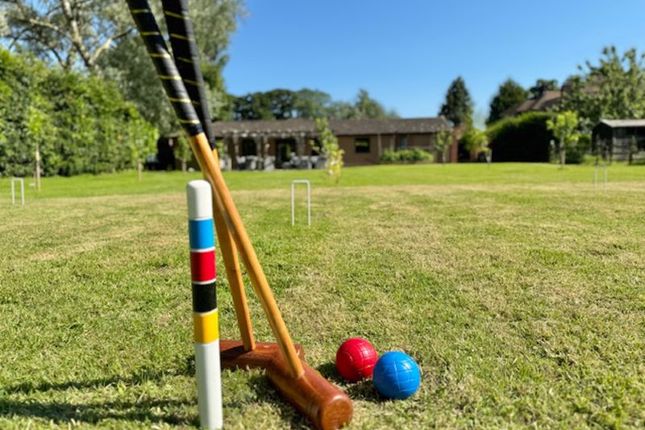 Croquet Again?