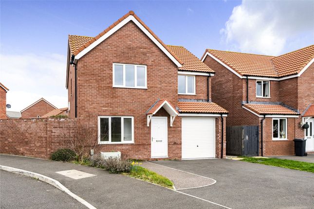 Thumbnail Detached house for sale in Willow Walk, Crediton, Devon