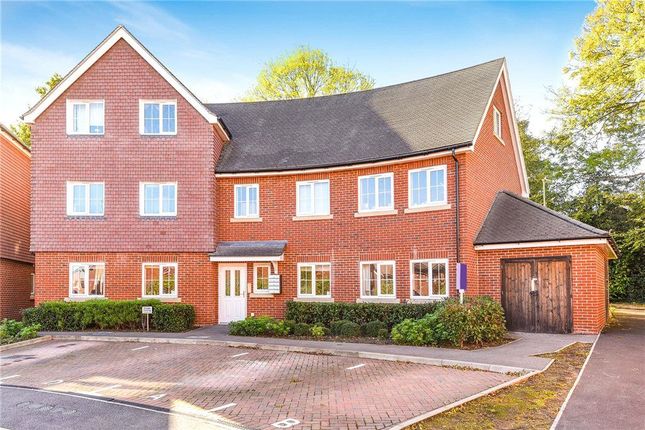 Thumbnail Property to rent in Hindmarch Crescent, Hedge End, Southampton