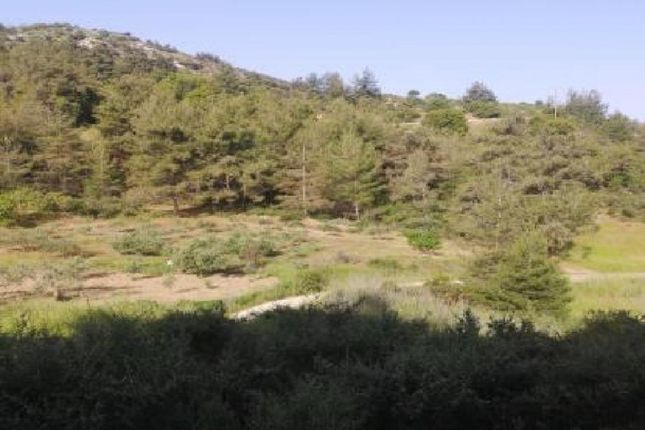 Thumbnail Land for sale in Pafos Centre, Pafos, Cyprus