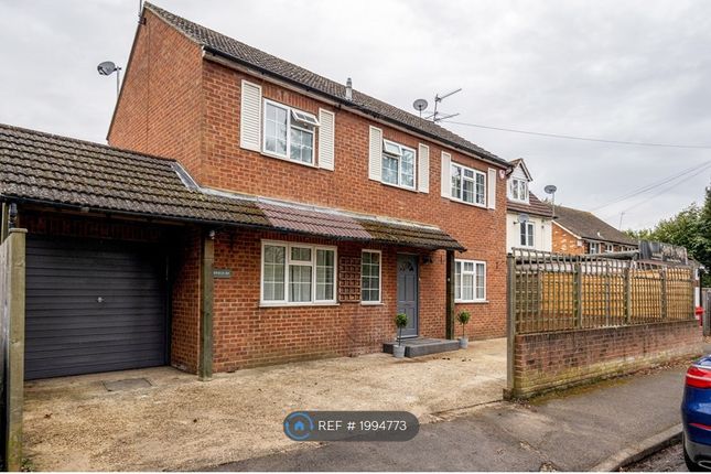 Semi-detached house to rent in Winkfield Road, Ascot