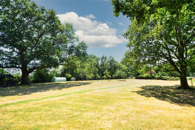 Sunnyside,, Horsted Lane, East Grinstead photo 4