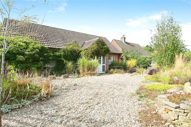 Thumbnail Bungalow for sale in Greenways Close, Flordon, Norwich, Norfolk