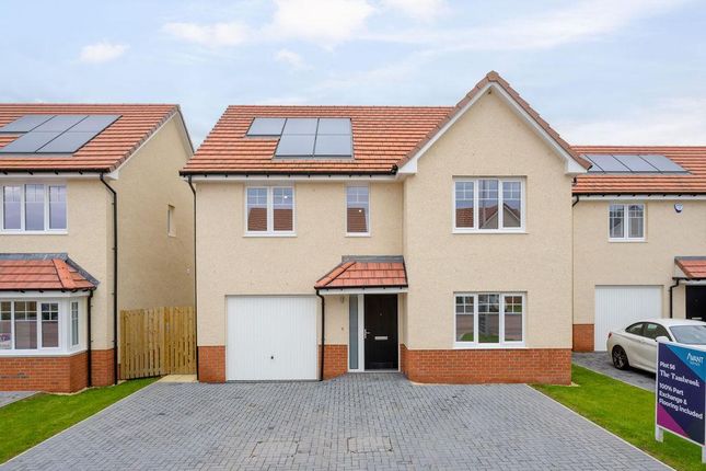 Thumbnail Detached house for sale in Colony Way, Larbert