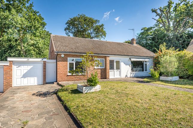 Thumbnail Bungalow to rent in Highwood Drive, Orpington