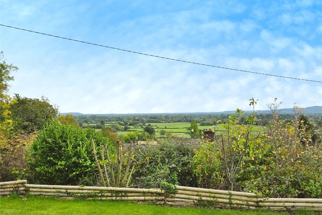 Pant, Shropshire photo 3