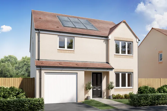 Persimmon Homes - Burgh Gate