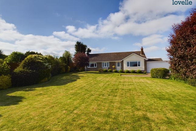 Thumbnail Bungalow for sale in Magna Mile, Ludford