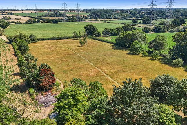 Hill Farm, Woodbridge, Grundisburgh photo 4