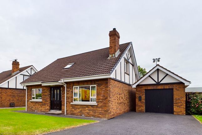 Thumbnail Detached house for sale in Ashbrook Mews, Newry