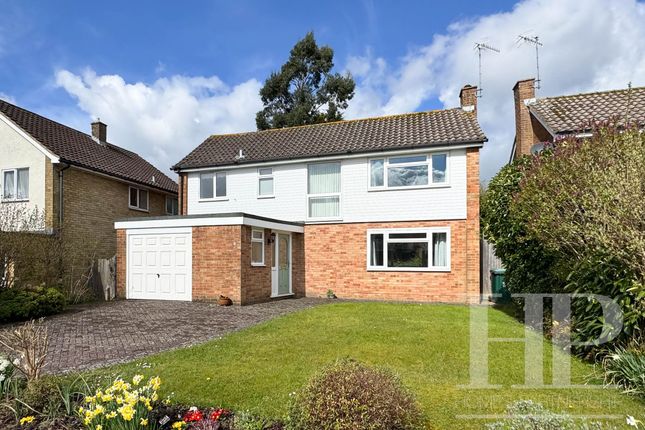 Thumbnail Detached house to rent in The Glade, Crawley