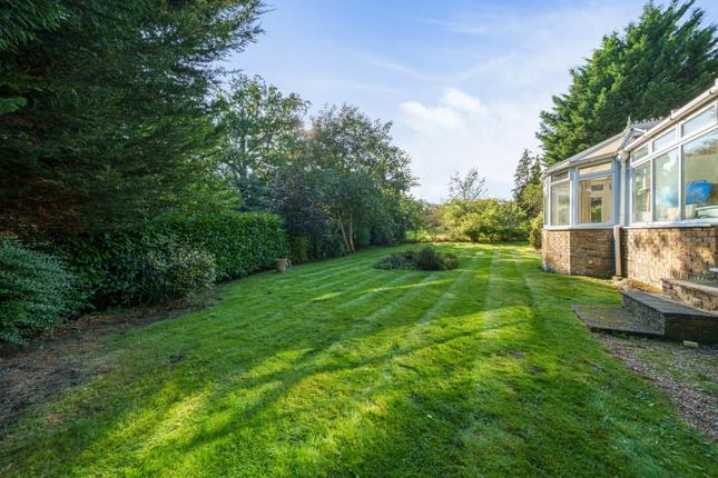 Detached bungalow for sale in Steep Hill, Chobham, Woking