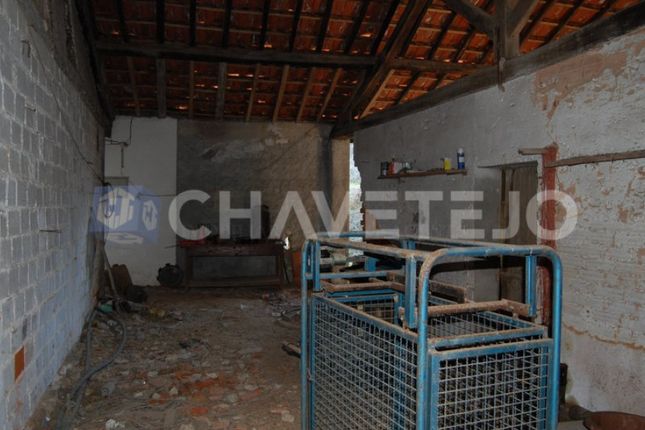 Detached house for sale in Porto Da Lage, Madalena E Beselga, Tomar