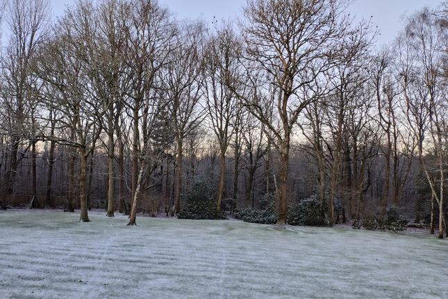 Oakwood, Shaws Lane, Southwater photo 2