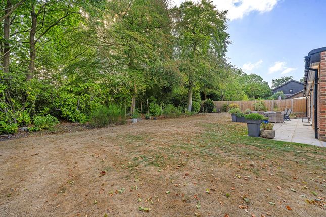 8 Hassock Wood, Keston photo 4
