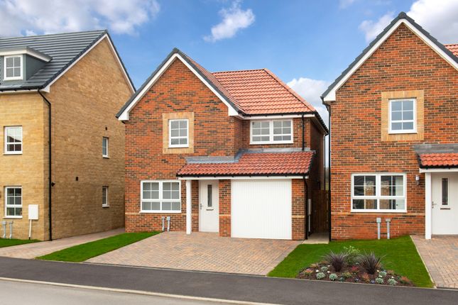 Thumbnail Detached house for sale in "Denby" at Smiths Close, Morpeth