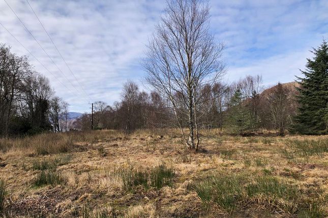 Thumbnail Land for sale in Bunree, Onich