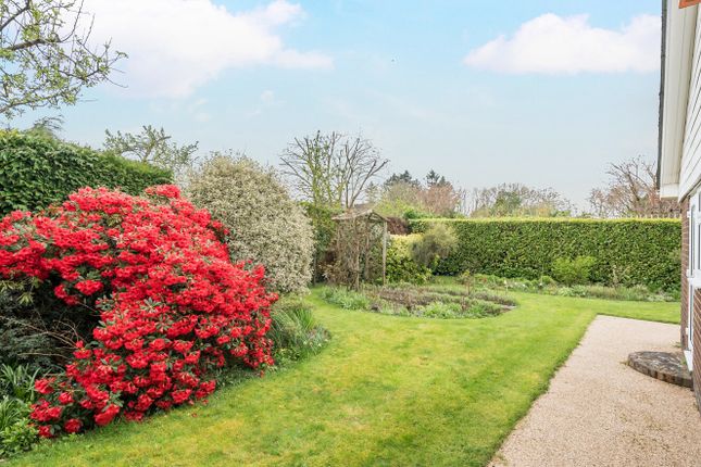 Bungalow for sale in Grayshott, Hindhead, Hampshire