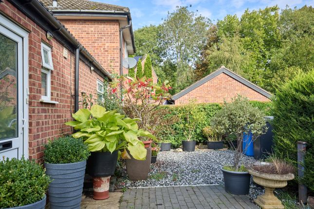 75, Peverell Road, Norwich photo 2