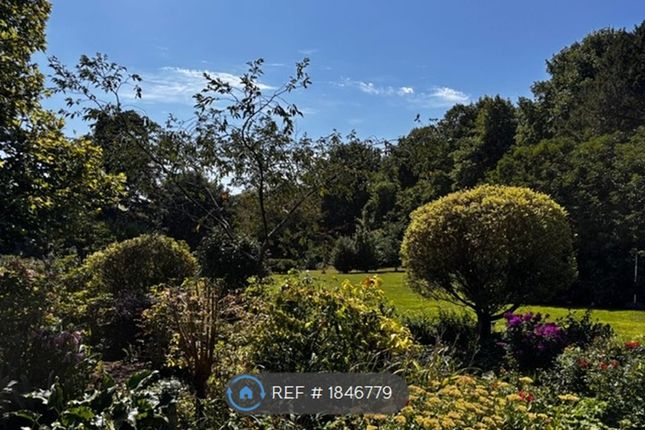 Main Garden Bed Closest To House