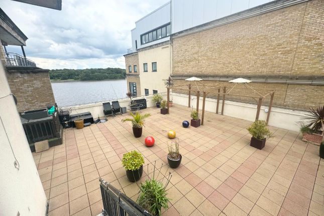 501, College View, Derry photo 2