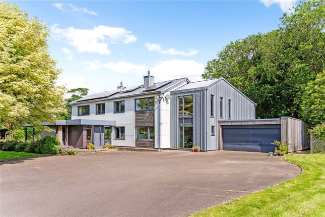 Thumbnail Detached house for sale in Cormuir, Brickyard, Great Limber, Grimsby