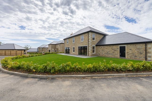 3, Butley Meadows, Morpeth photo 4