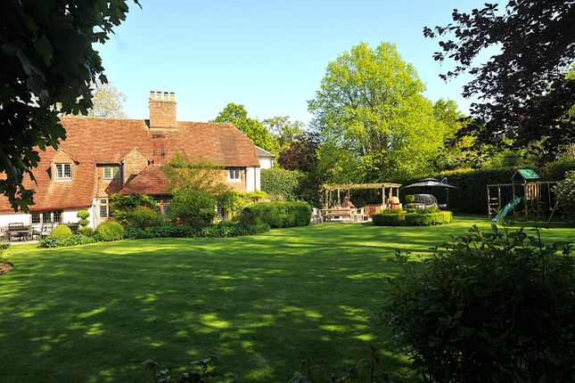 Rear Elevation