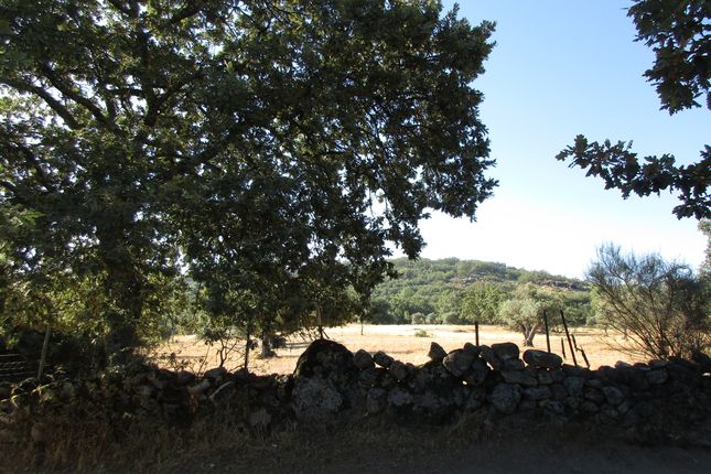 Farm for sale in Penamacor (Parish), Penamacor, Castelo Branco, Central Portugal