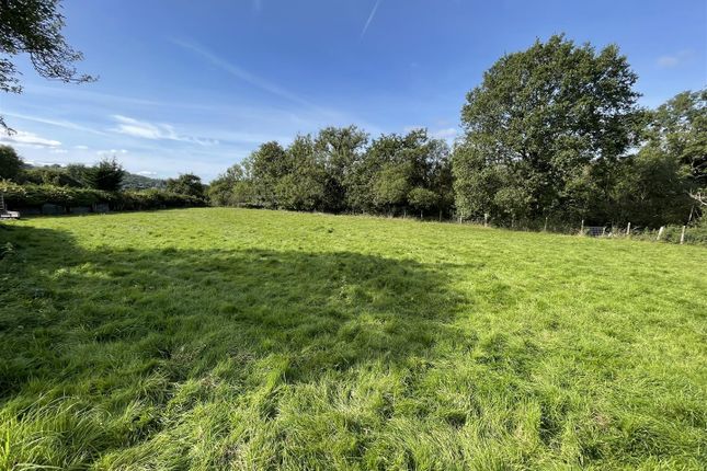 Neuadd, Garnant, Ammanford photo 5