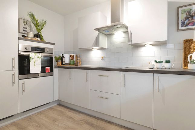 Apartment 8 Otter Lodge, 8, 8 Otter Lodge, Honiton photo 4