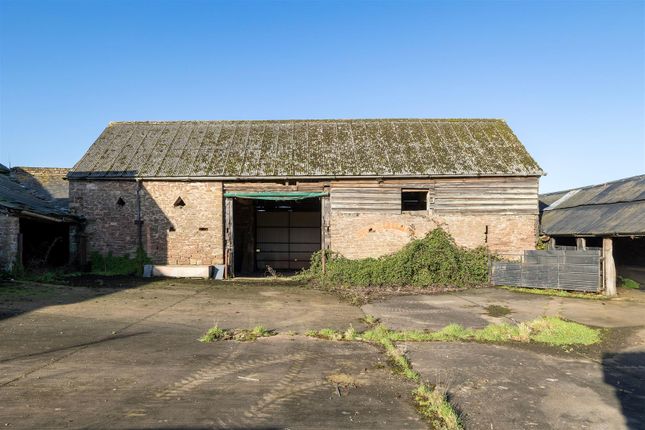 0601Llangrovefarm,-16.Jpg
