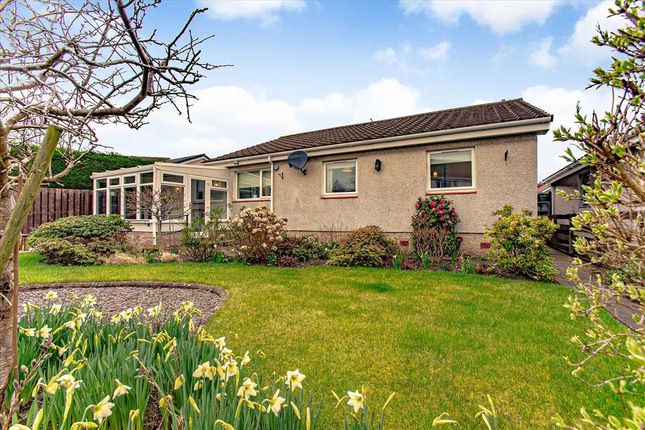 Detached bungalow for sale in Lade Braes, Dalgety Bay, Dalgety Bay