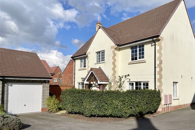 Thumbnail Detached house to rent in Auckland Close, Wells