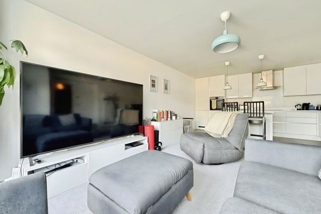 2, Edina Mews, Exeter photo 5