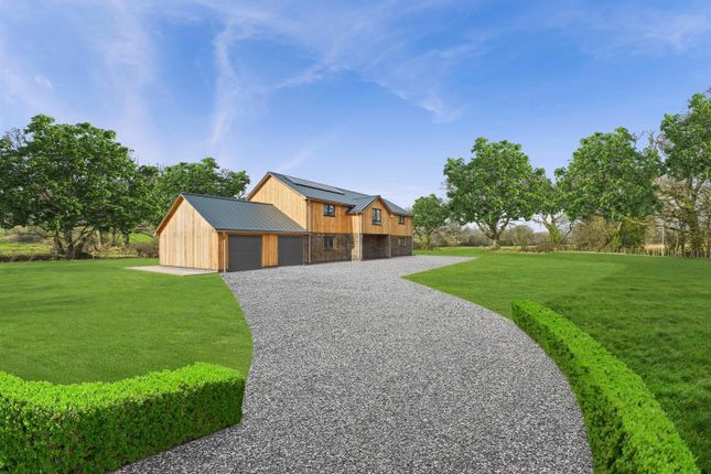 Cam02887G0-Pr0400-Still007 Dp.Jpg