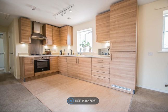 Gadwall Mews, St Marys Island, Chatham photo 3